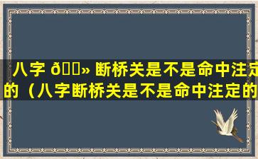 八字 🌻 断桥关是不是命中注定的（八字断桥关是不是命中注定的意思）